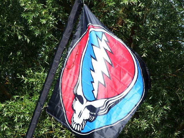 Stealie Flag 2.jpg